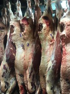 Мясо в Уссурийске говядина туша.jpg